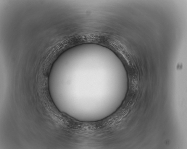 X0000096150865200801251102