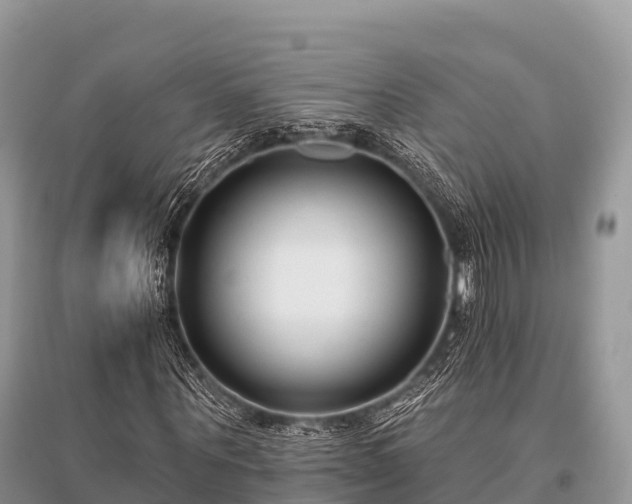 X0000096150867200801251102