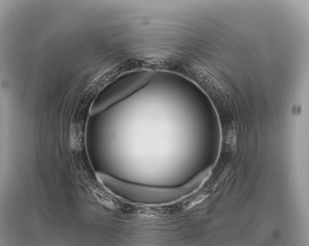 X0000096150868200801251102