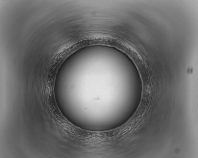 X0000096150869200801251102
