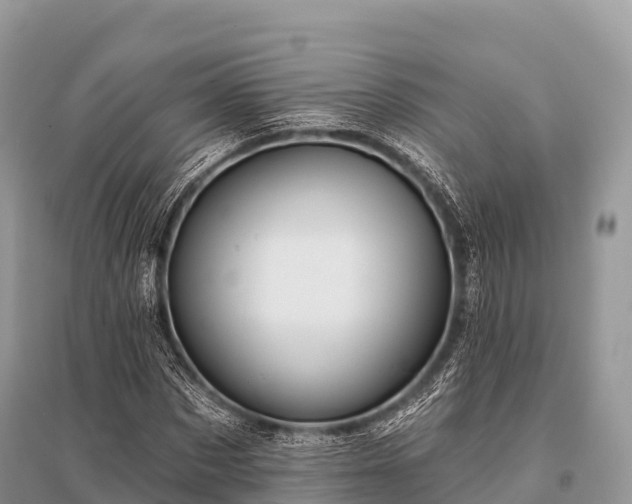X0000096150873200801251102