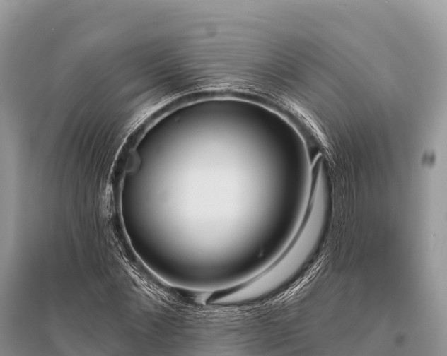 X0000096150876200801251102