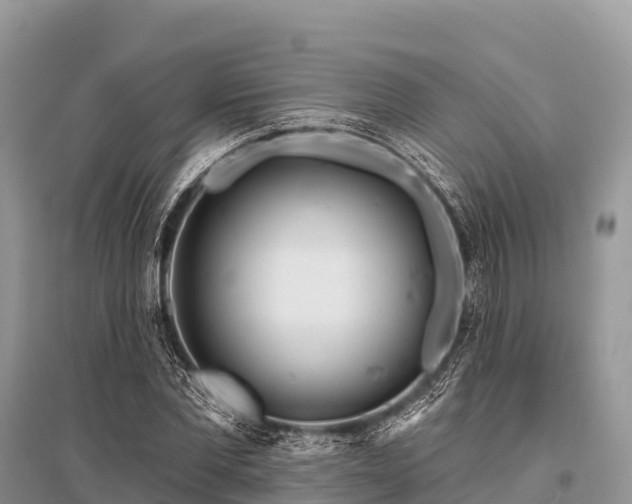 X0000096150877200801251102