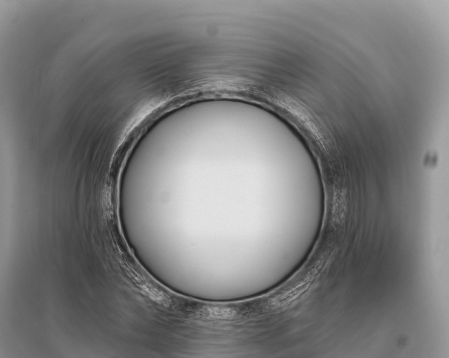 X0000096150878200801251102