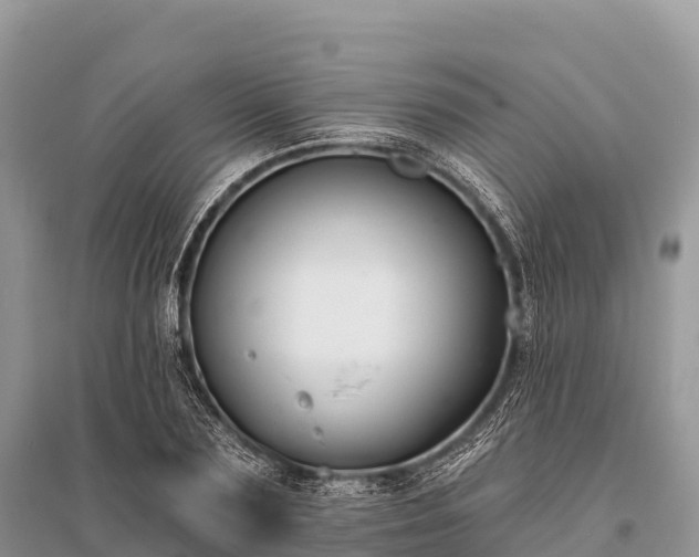 X0000096150883200801251102