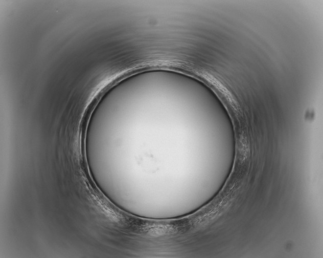 X0000096150886200801251102