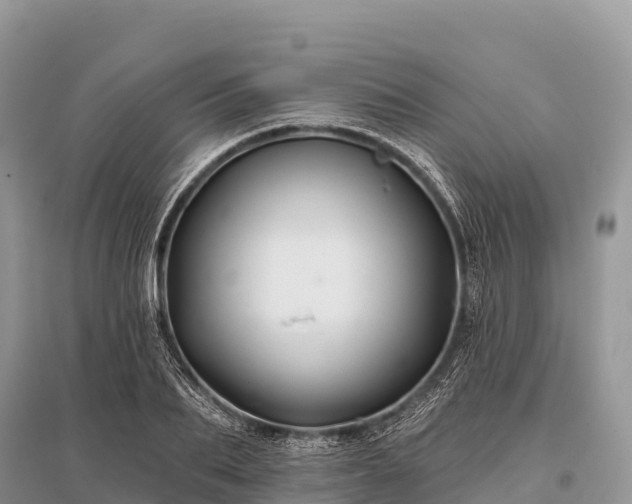 X0000096150887200801251102
