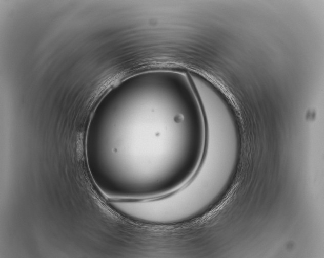 X0000096150889200801251102
