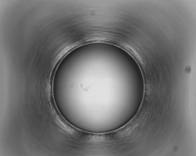 X0000096150890200801251102