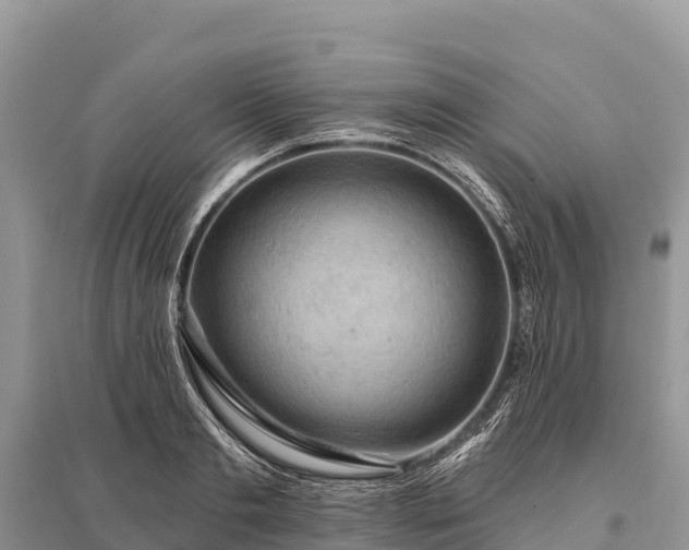 X0000096150893200801251101