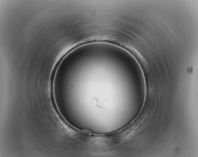 X0000096150894200801251101