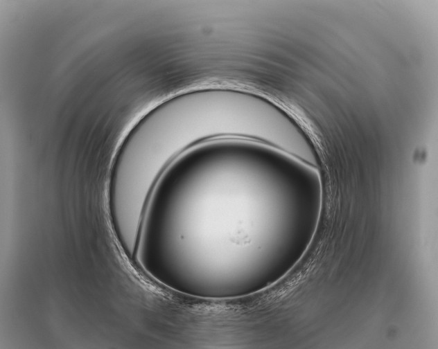 X0000096150896200801251101