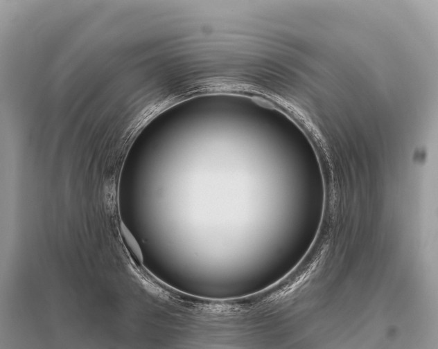 X0000096150897200801251101