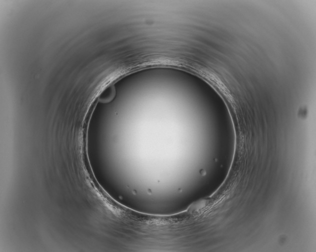 X0000096150898200801251101