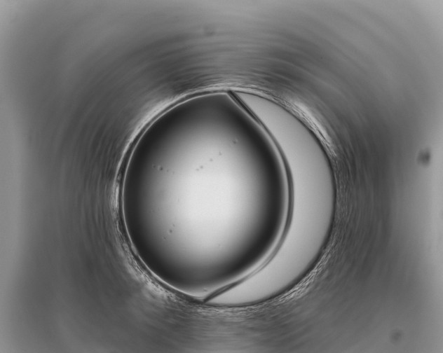 X0000096150900200801251101