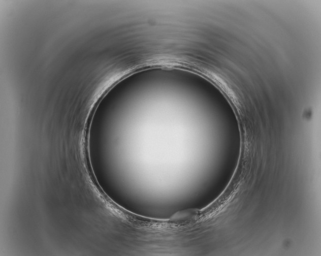 X0000096150901200801251101
