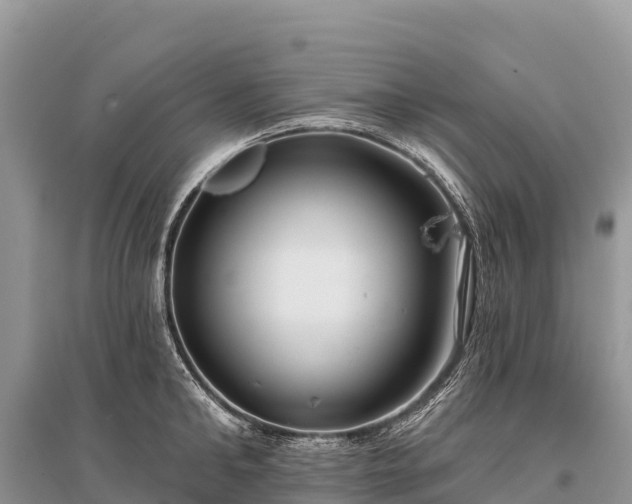 X0000096150902200801251101