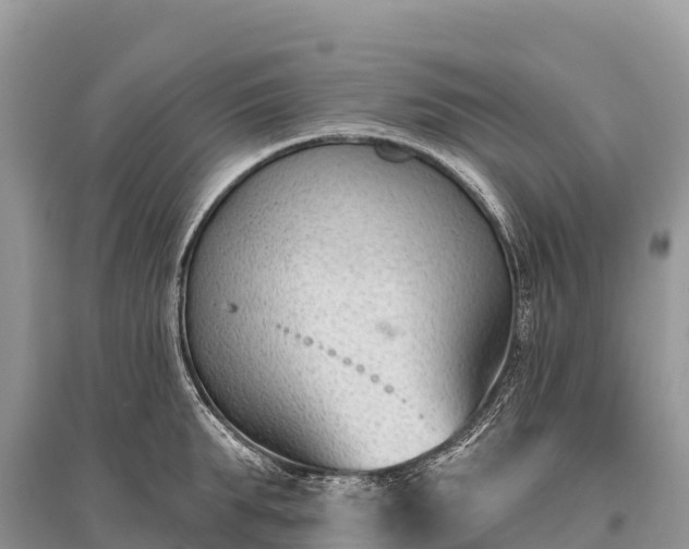 X0000096150903200801251101