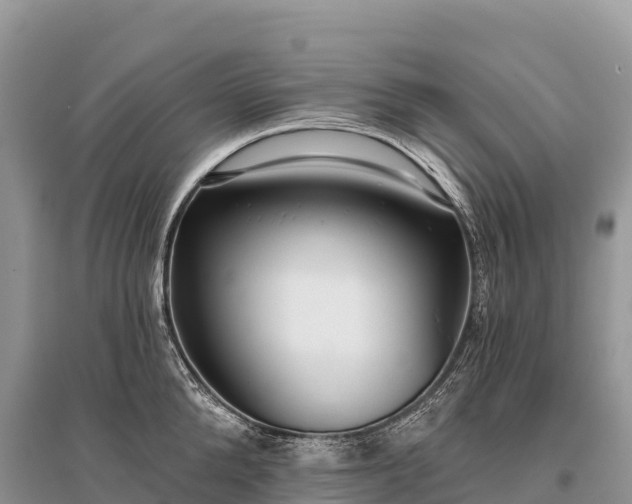 X0000096150904200801251101