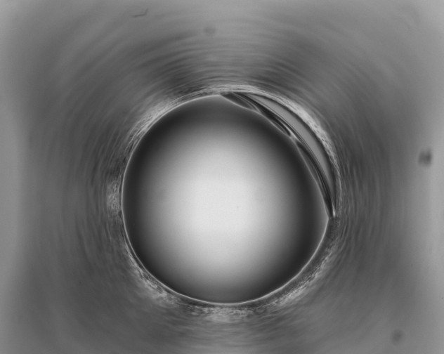 X0000096150905200801251101