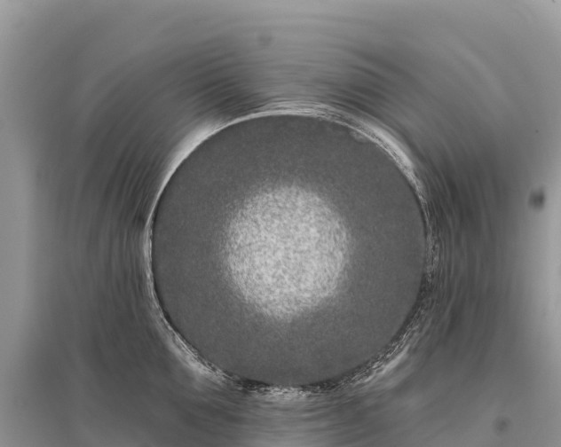 X0000096150907200801251101