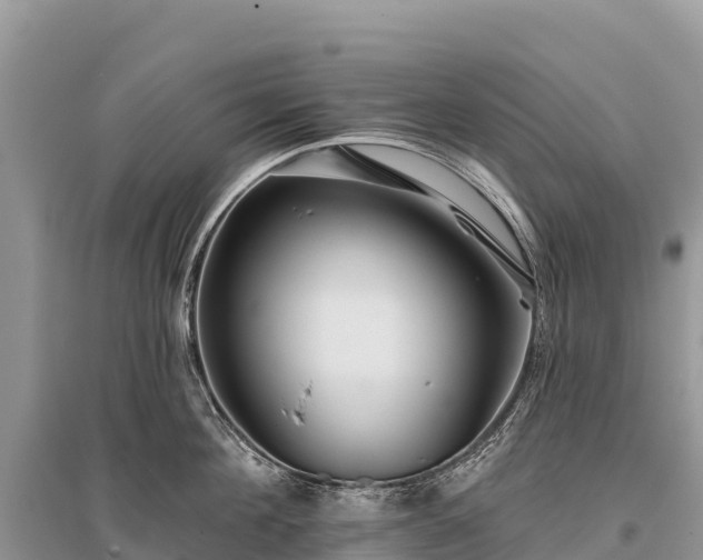 X0000096150908200801251101