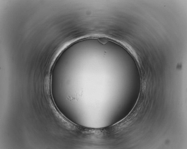X0000096150911200801251101