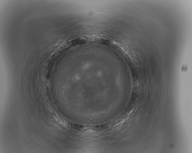 X0000096150913200801251101