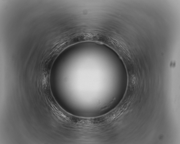 X0000096150914200801251101