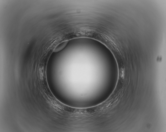 X0000096150915200801251101