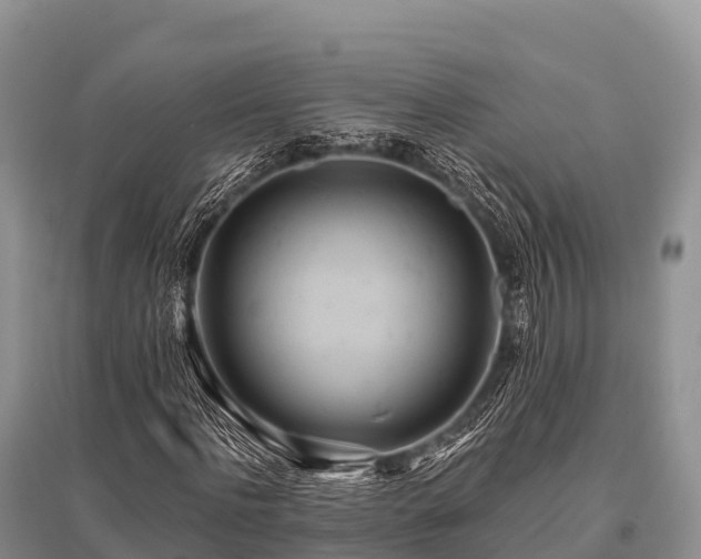 X0000096150916200801251101