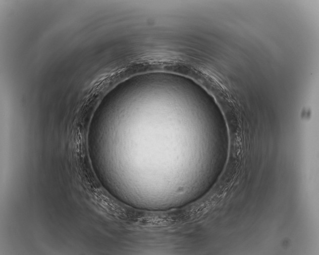 X0000096150917200801251101