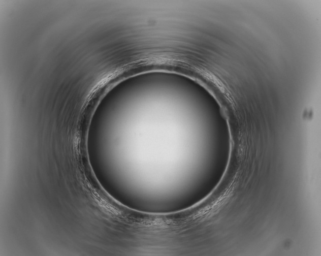 X0000096150922200801251101