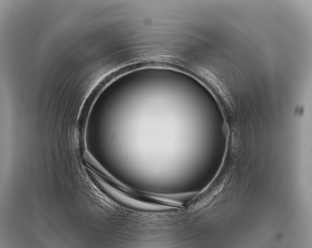 X0000096150924200801251101