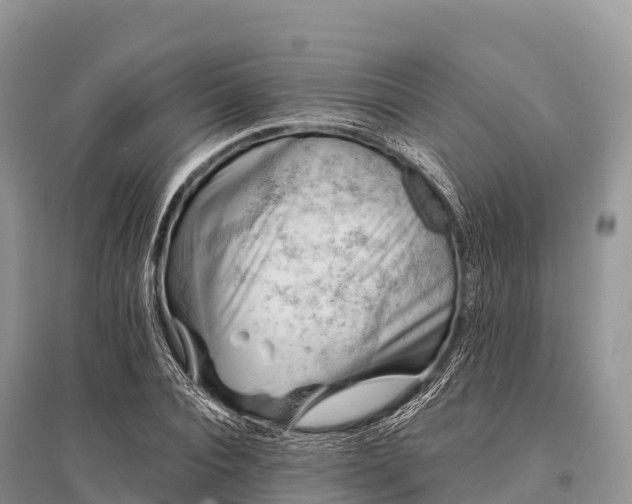 X0000096150928200801251101