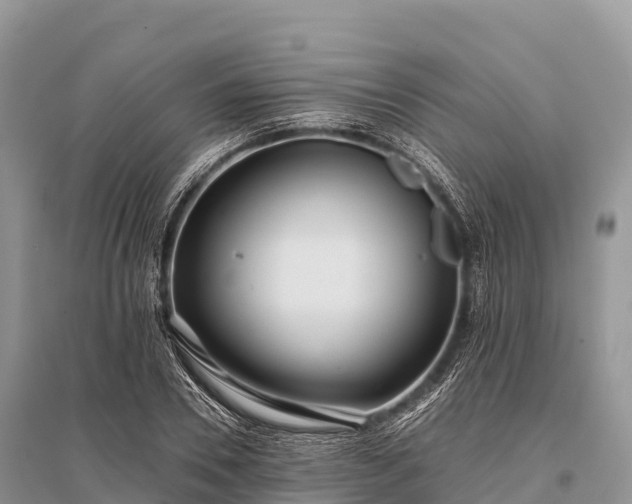 X0000096150930200801251101