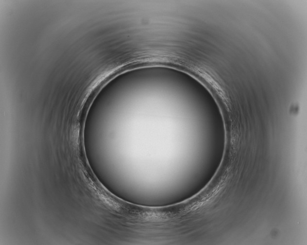 X0000096150933200801251101