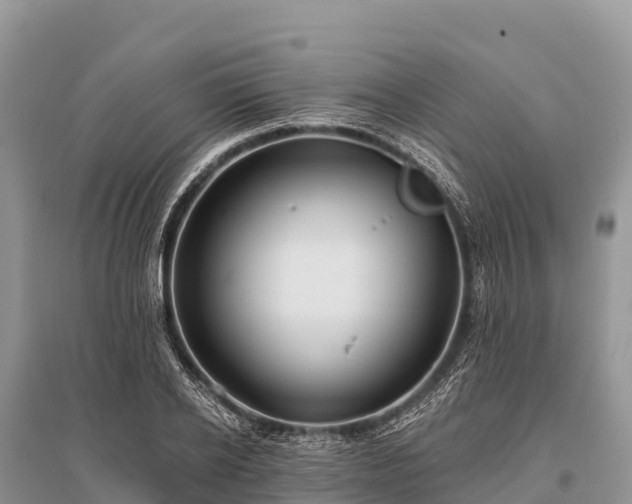 X0000096150934200801251101