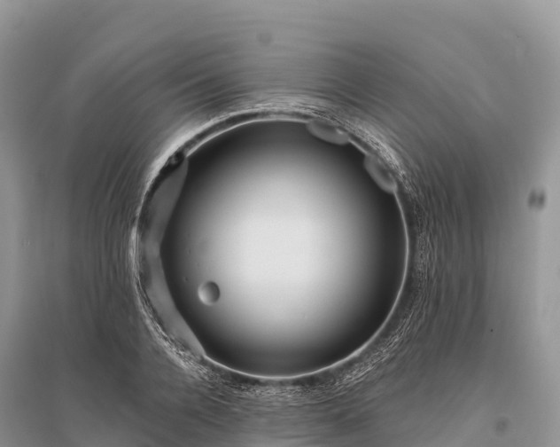X0000096150936200801251101