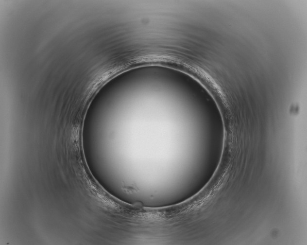 X0000096150937200801251101