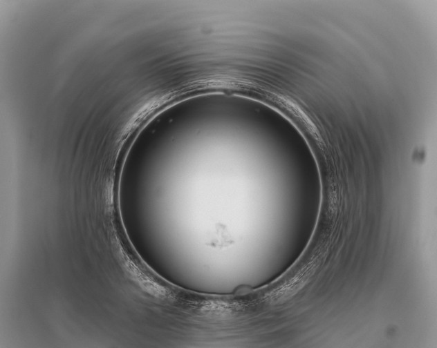 X0000096150938200801251101
