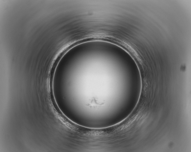 X0000096150939200801251101