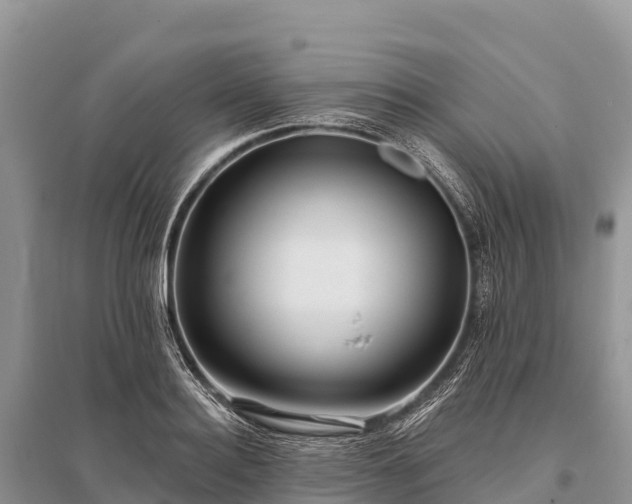 X0000096150940200801251101