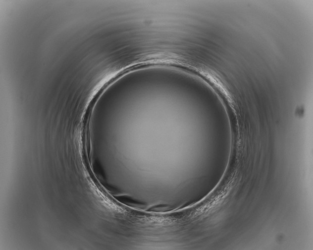 X0000096150941200801251101