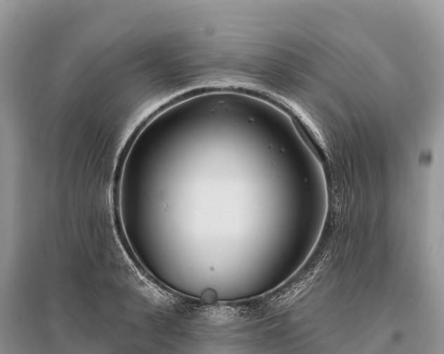 X0000096150943200801251101