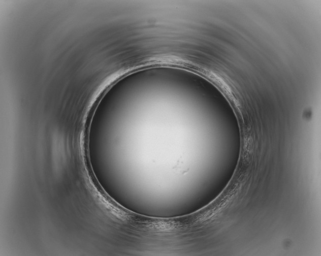 X0000096150947200801251101