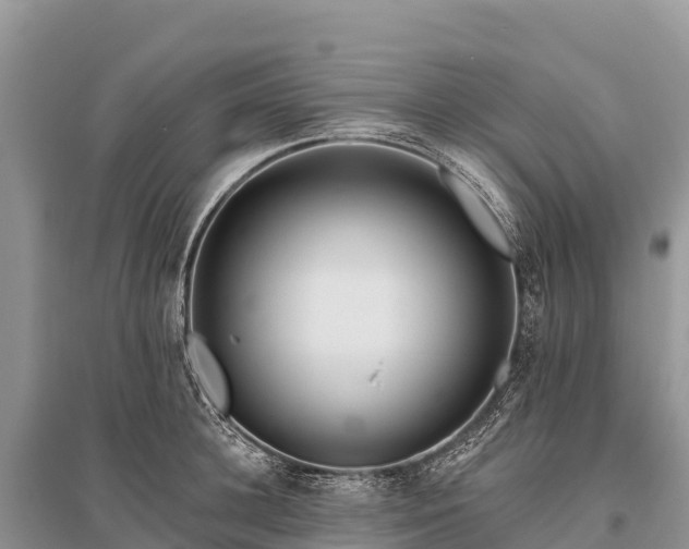 X0000096150948200801251101