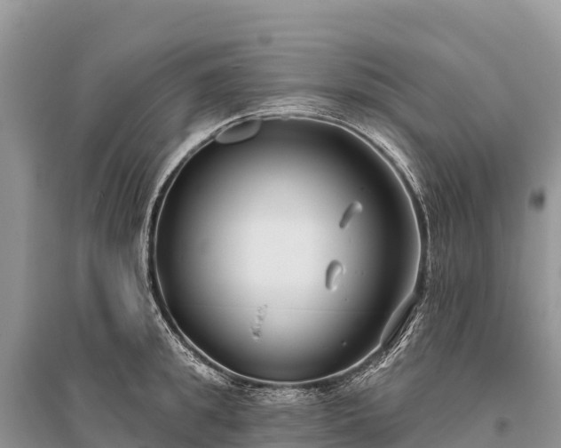 X0000096150949200801251101