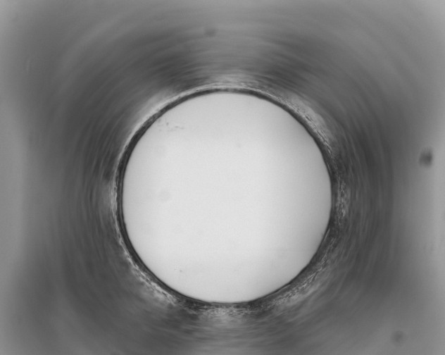 X0000096150950200801251101