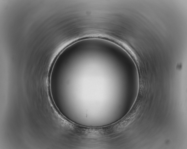 X0000096150951200801251101